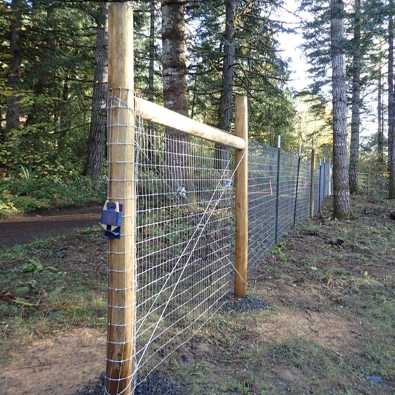 A six foot livestock fence in front of a forest