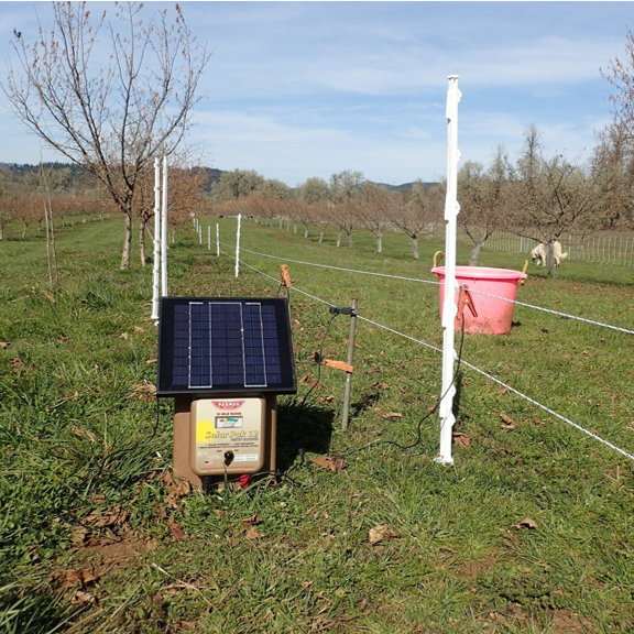 A portable electric fence with a solar energizer