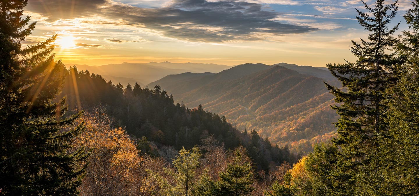 Benton County, Oregon, Header banner image showing forest covered mountains